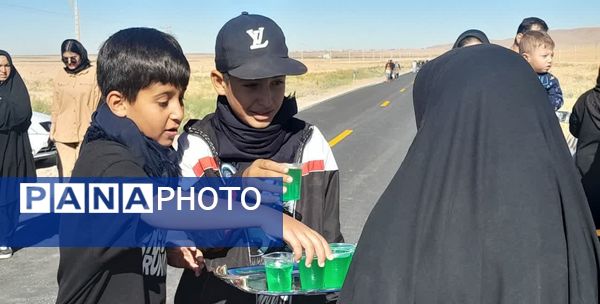 پیاده‌روی زائران جامانده ازحرم رضوی در شهرستان بام و صفی آباد