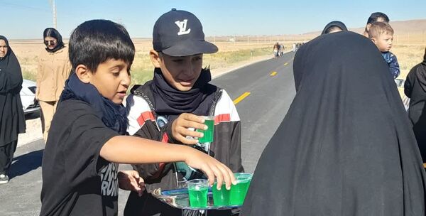 پیاده‌روی زائران جامانده ازحرم رضوی در شهرستان بام و صفی آباد
