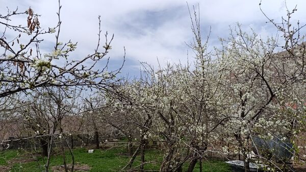سیزده بدر باستانی در روستای زیارتی و سیاحتی سوقند 