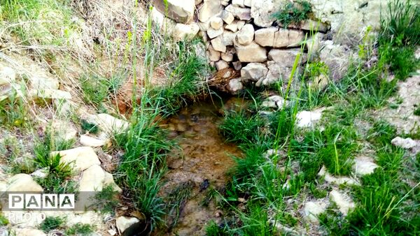 طبیعت دَستَنا؛ جلوه‌ای کم‌نظیر از آرامش و زیبایی در دل چهارمحال و بختیاری
