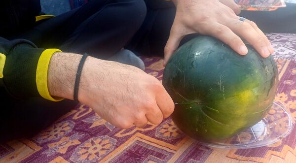۱۳ بدر :جشن طبیعت و نشاط در دل بهار