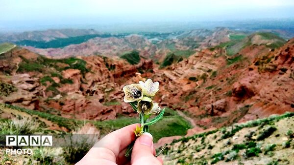 کوه های زیبای تخت پلنگ نیشابور 