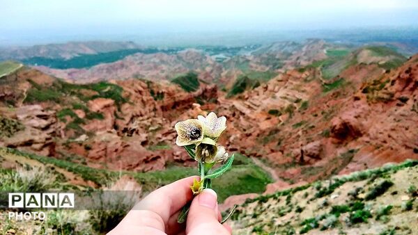 کوه های زیبای تخت پلنگ نیشابور 