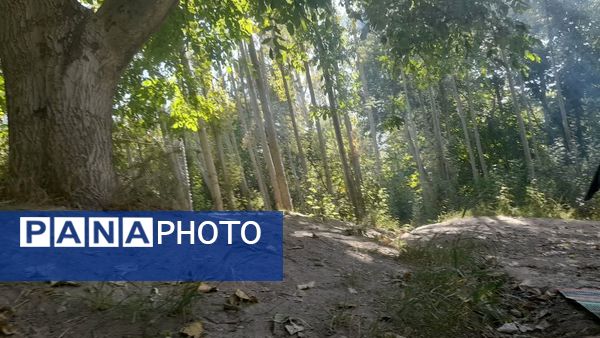 جاذبه‌های طبیعی «شهر کرد» به روایت خبرنگار پانا