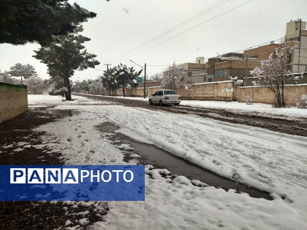 بارش برف در شهرستان تربت جام