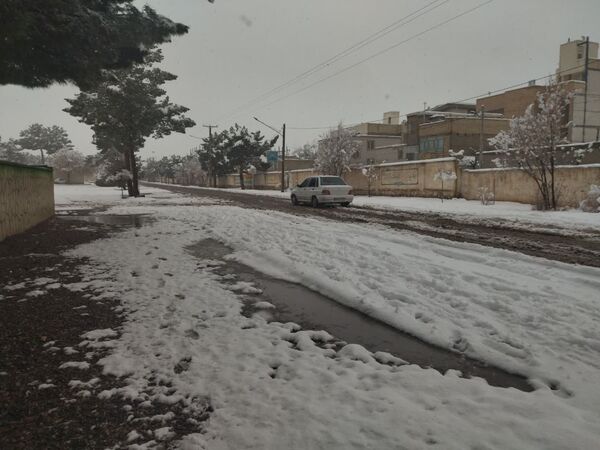 بارش برف در شهرستان تربت جام