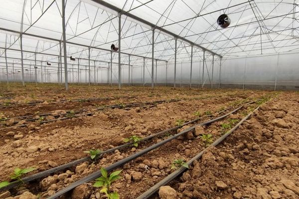 فاز دوم مجتمع گلخانه‌ای لردگان، آغاز فصل جدیدی در کشاورزی پایدار