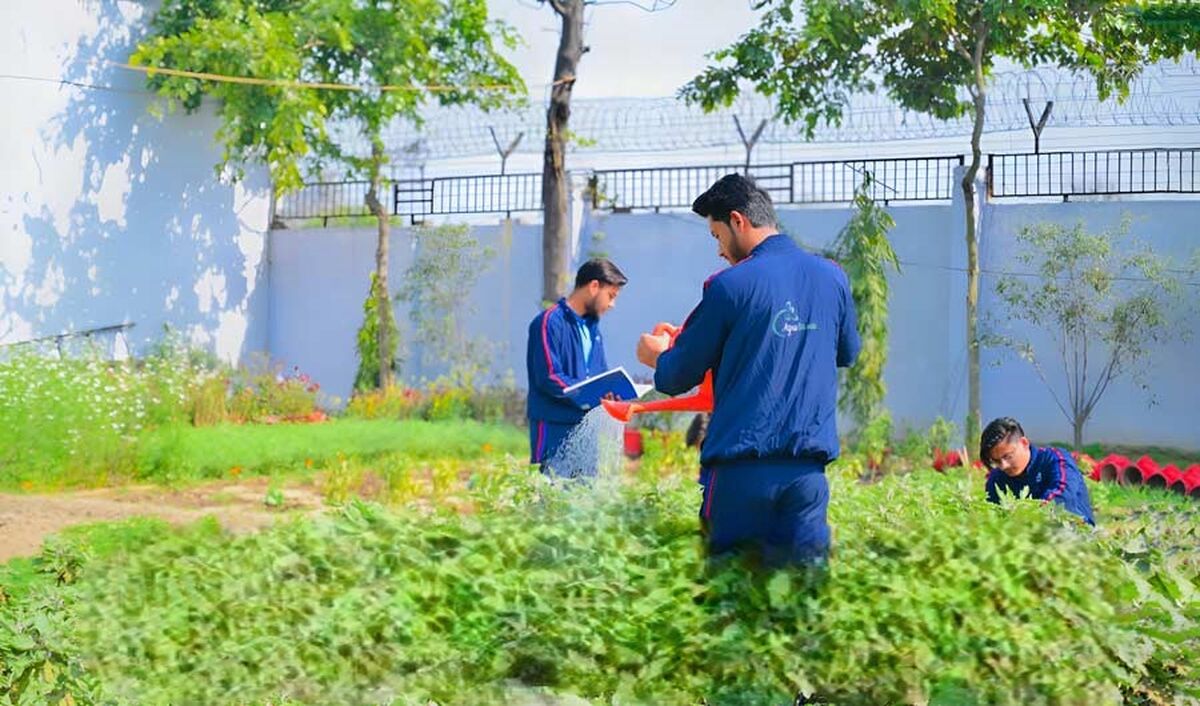 ورود دانش‌آموزان به رشته‌های مرتبط در هنرستان کشاورزی بر تأمین نیروی انسانی متخصص کشاورزی تاثیر اساسی دارد