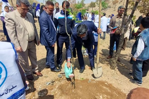 کاشت نهال امید در پاکدشت