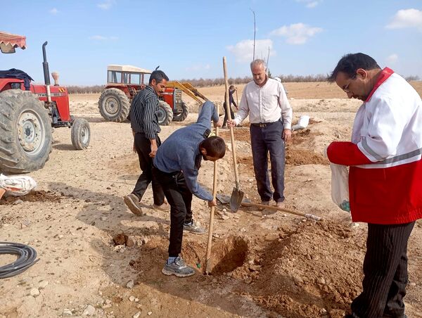 کاشت نهال در آرامستان روستای گزکوه