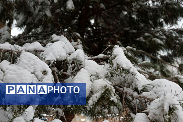 یک روز برفی در روستای بنادکوک‌ دیزه