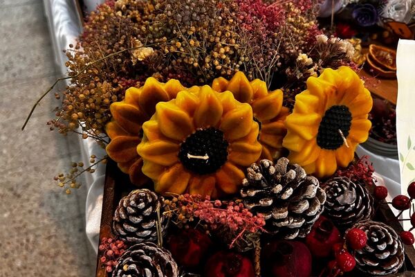 پایان کار نمایشگاه گیاهان دارویی پژوهش‌سرای کاوش کهریزک 