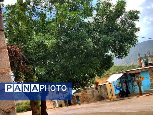 میانکوه در این روز‌ها همچون نگینی سبز می‌درخشد