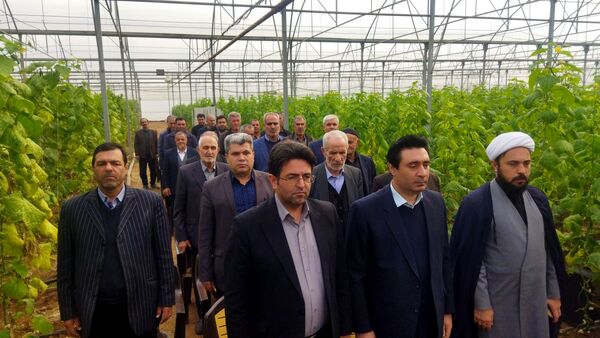 بازدید از گلخانه نمونه خسروشاه در هفته بسیج