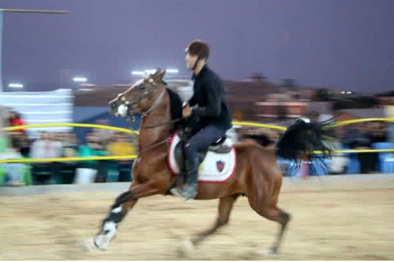 همایش ملی سوارکاری شهرستان سامان؛ تجلی شکوه، فرهنگ و اصالت ایرانی