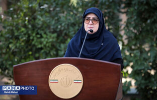 سخنگوی دولت: ارز دارو تغییر نمی‌کند؛ آمادگی دفاعی و مذاکره همزمان دنبال می‌شود