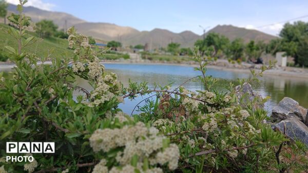 از آبی آرام دریاچه مادر تا عطر عرفان آرتیمانی؛ روایت زیبایی‌های تویسرکان