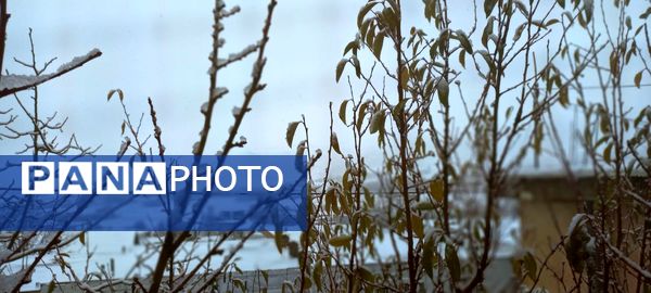 برف پاییزی در کوهرنگ