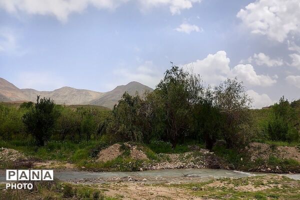 آلبوم تصویری از طبیعت زیبای شهر بار در اردیبهشت‌ماه  ۱۴۰۵ـ۲