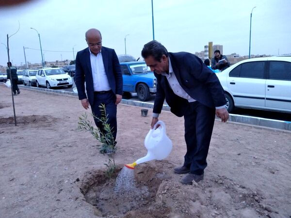 پویش مردمی درخت یادگار در یزد 
