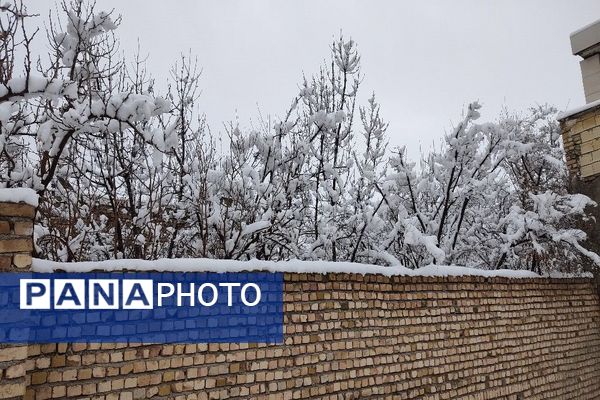 آلبوم تصویری از برف در طبیعت شهر بار 