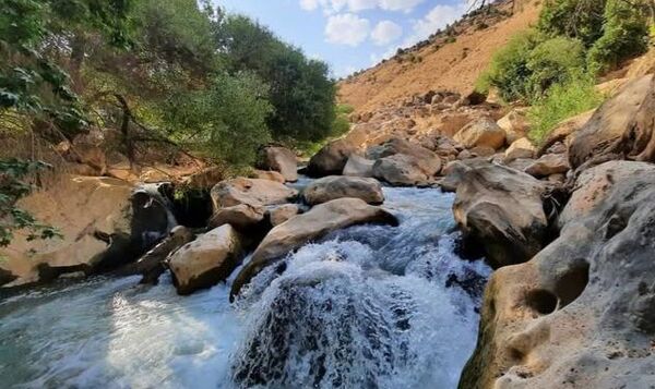 طبیعت سر سبز رفن به هنگام بهار