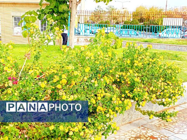 کاشمر در برگریزان پاییز