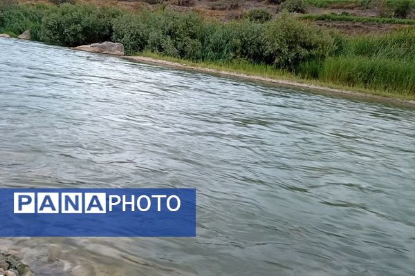 نجوای ارمند؛ سمفونی طبیعت در آبچنار