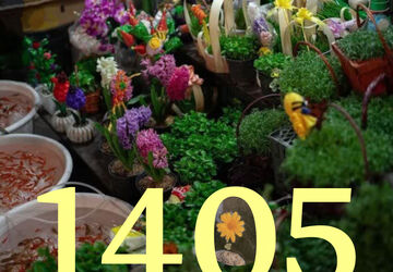 سال نو، فرصتی دوباره برای شروعی تازه و تحقق رویاهاست 