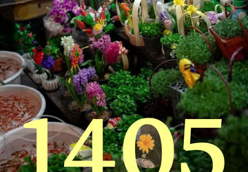 سال نو، فرصتی دوباره برای شروعی تازه و تحقق رویاهاست 