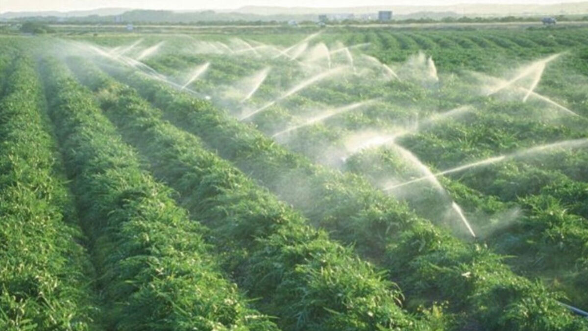 اجرای آبیاری قطره‌ای در باغ‌های روستای قائد طاهر استان لرستان