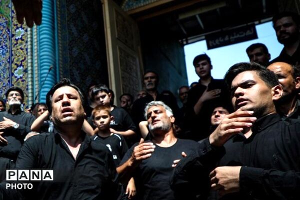 مشهدالرضا(ع) در ماتم کربلا؛ روایت اشک و ارادت در حرم مطهر رضوی