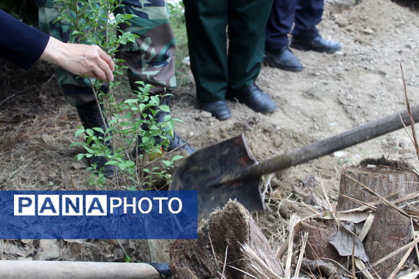 مهر در گلوگاه، از دل جنگل تا کلاس درس 