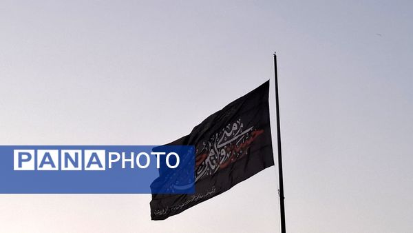 لحظه‌های ناب عاشقی در مشایه اربعین 