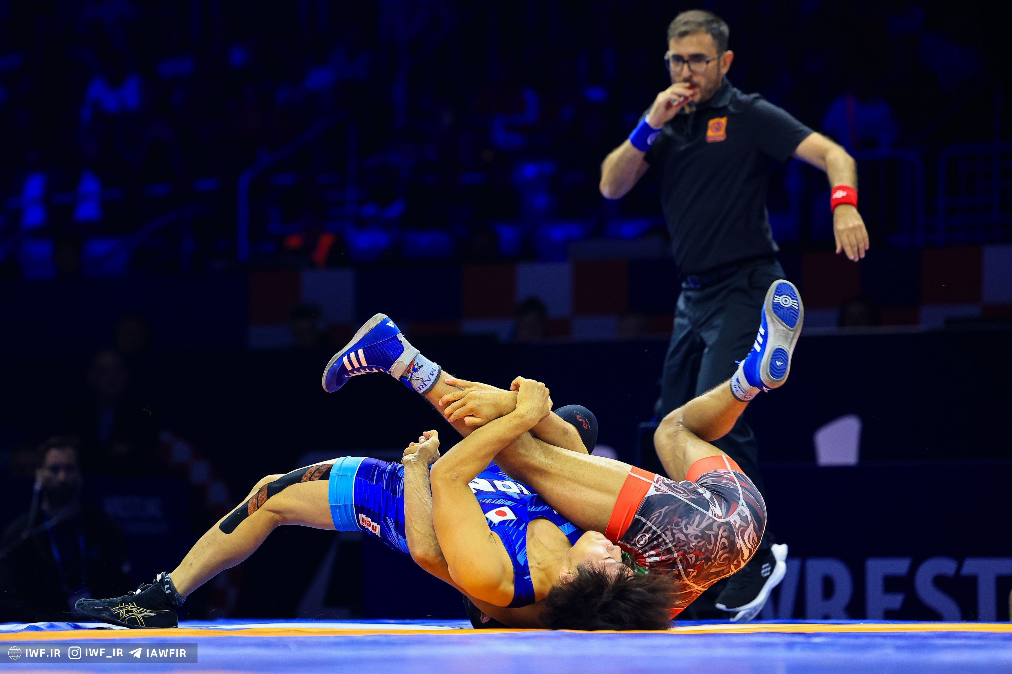 شگفتی سازی فرنگی کار جوان ایران در دایره طلایی زاگرب