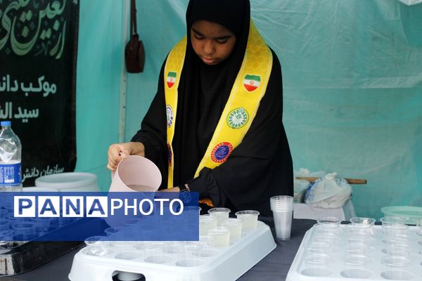 عشق حسینی در دل جنوب 