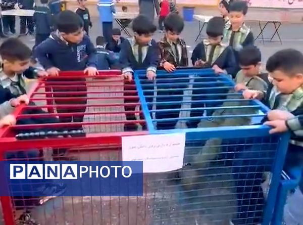 روز بازی و نشاط دانش‌آموزان در دبستان زنده‌یاد سیامک اسماعیلی قائمشهر