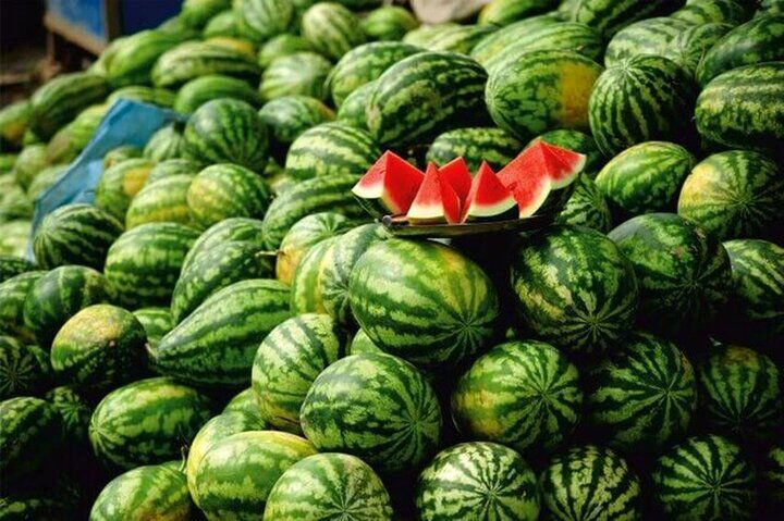 عرضه ۲۵۲ هزار تُن هندوانه پاییزه به بازار