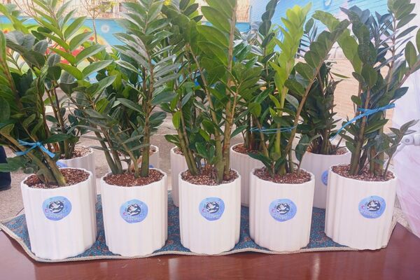 زنگ صلح  و دوستی در دومین روز از سال تحصیلی در مدرسه شاهد ائمه اطهار پاکدشت نواخته شد 