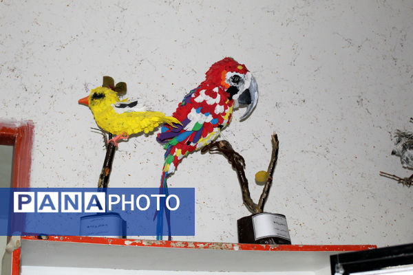  فعالیت‌های تابستانه کانون پرورش فکری کهگیلویه‌ و‌ بویراحمد