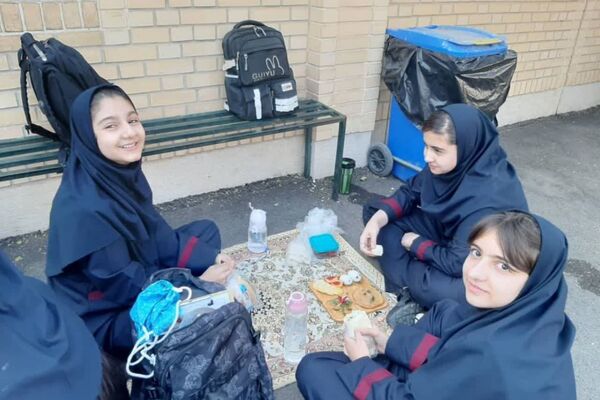 تضمین نشاط هفته با یک لقمه سلامتی