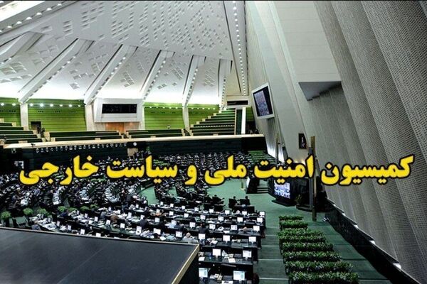 کمیسیون امنیت ملی مجلس: نیروهای مسلح تا پشیمانی دشمن دست از ماشه بر نخواهند داشت