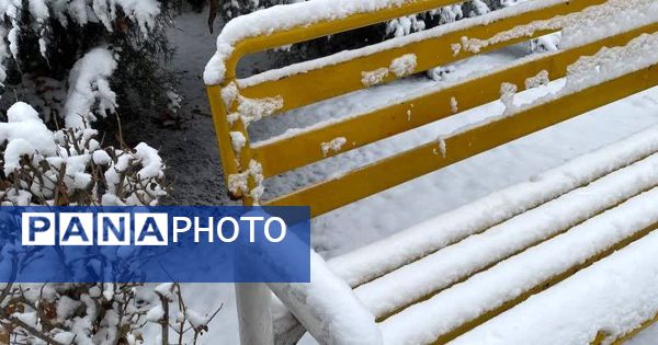 بارش برف در استان البرز 