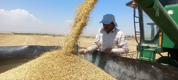 بازدید از مراکز خرید گندم در شهرستان فاروج