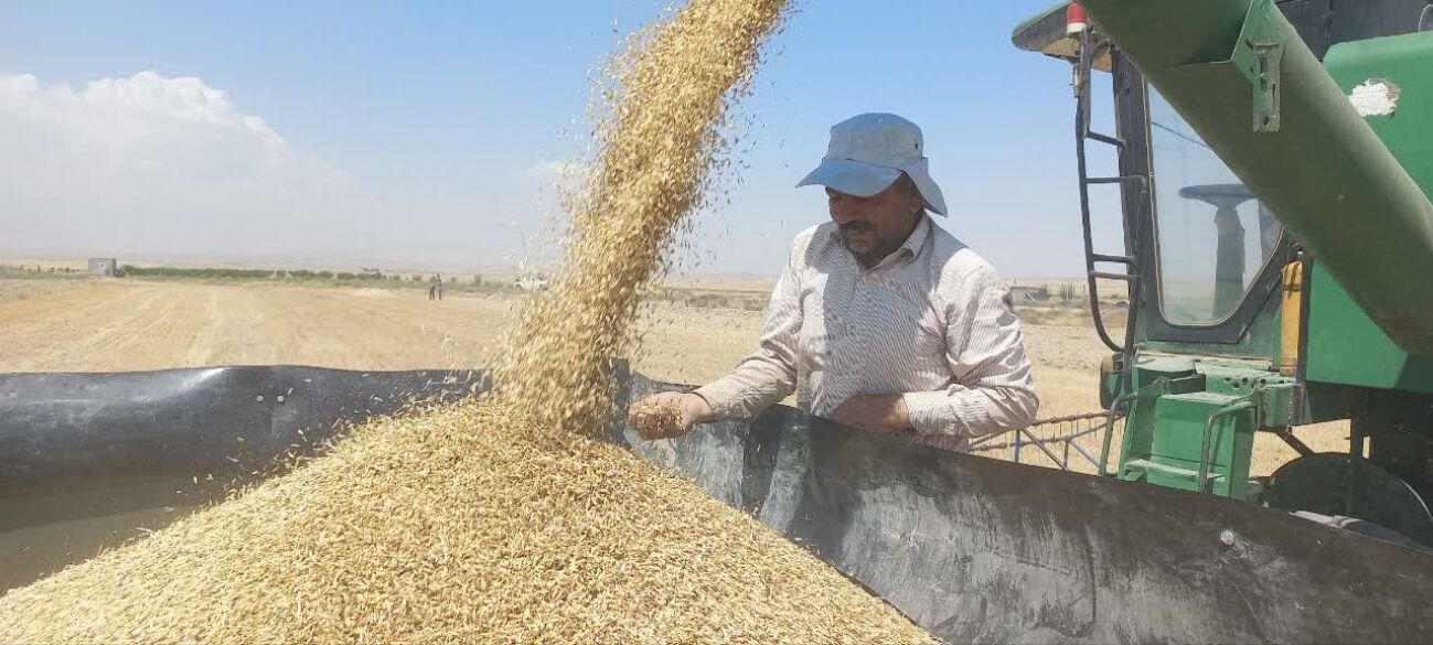 بازدید از مراکز خرید گندم در شهرستان فاروج