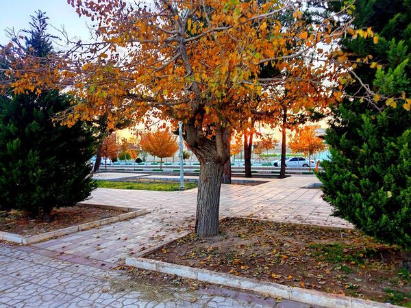طبیعت زیبای کاشمر در پاییز