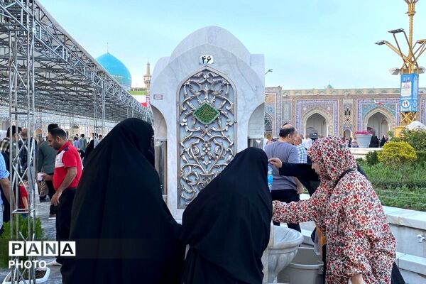 سفر به دیار مهربانی