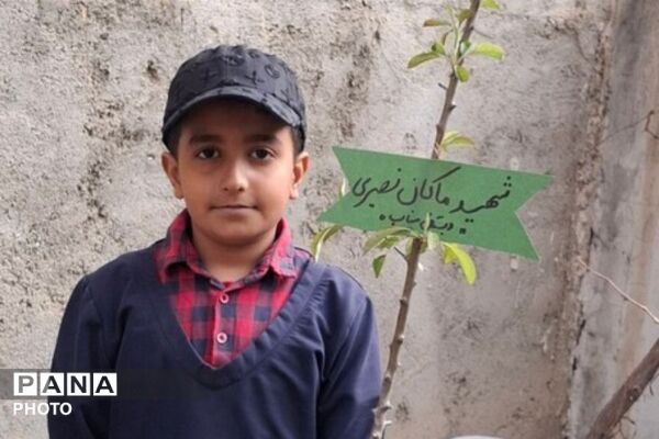 یادِ سبزِ شجره طیبه، در دلمان شکوفا شد