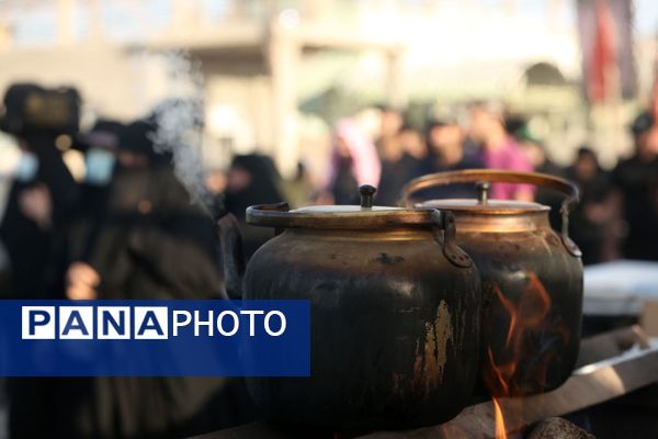 میلیون‌ها گام عاشقی؛ روایت حماسه اربعین حسینی از نجف تا کربلا