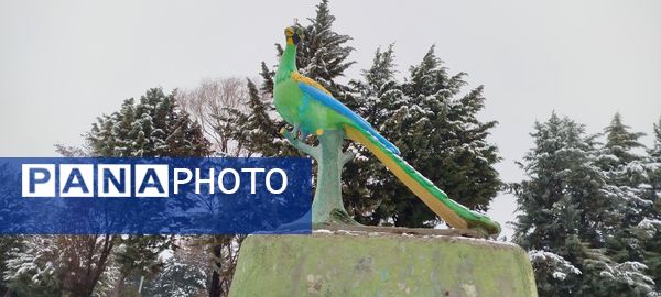 لردگان میزبان اولین برف زمستانی 